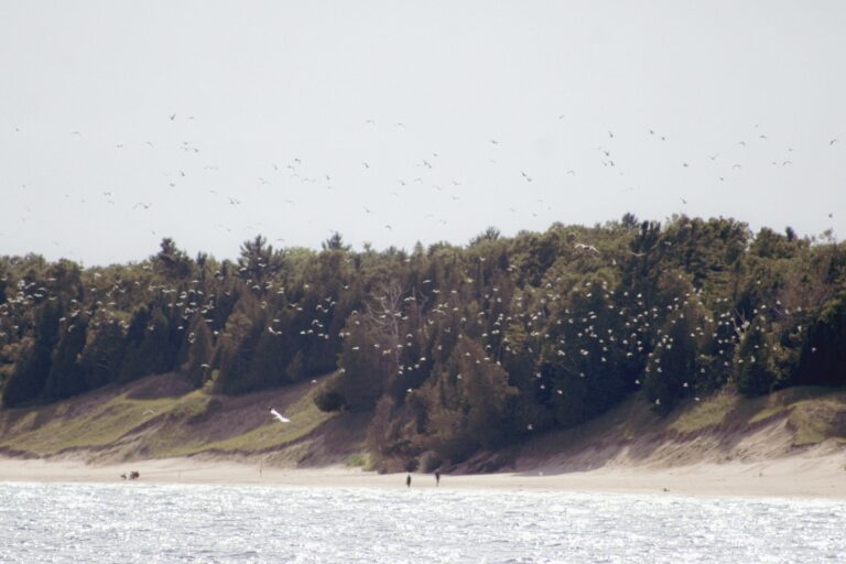 Beach at Sturgeon Bay