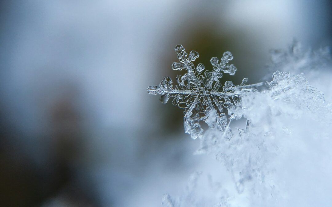 Up close of tiny snowflake