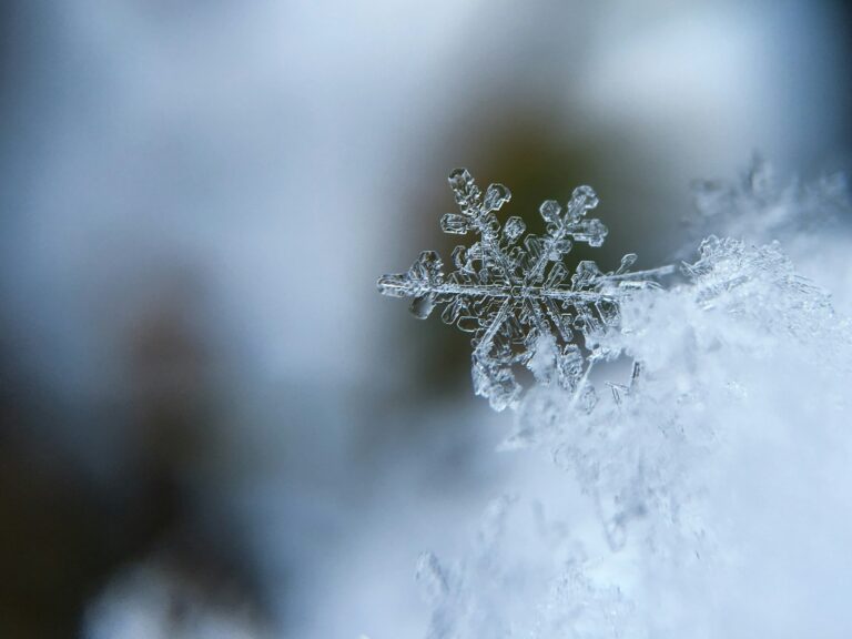 Up close of tiny snowflake