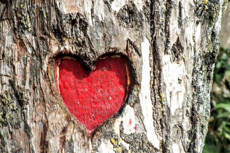 Red heart on a tree