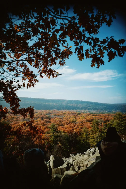 rolling hills, fall leaves, blue sky, home hosts, door county
